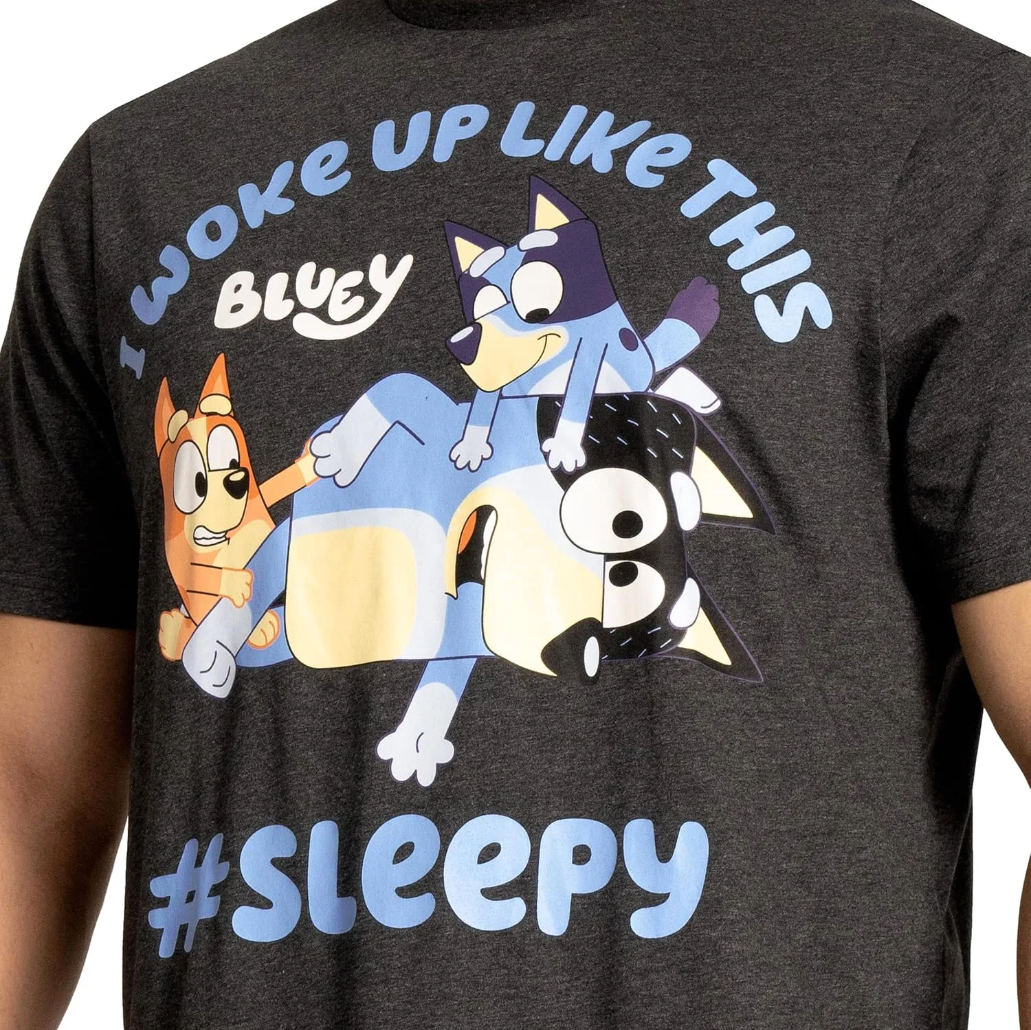 Bluey Pajamas | Bingo Mens Pajamas | Fun Mens Pjs | Official Merchandise