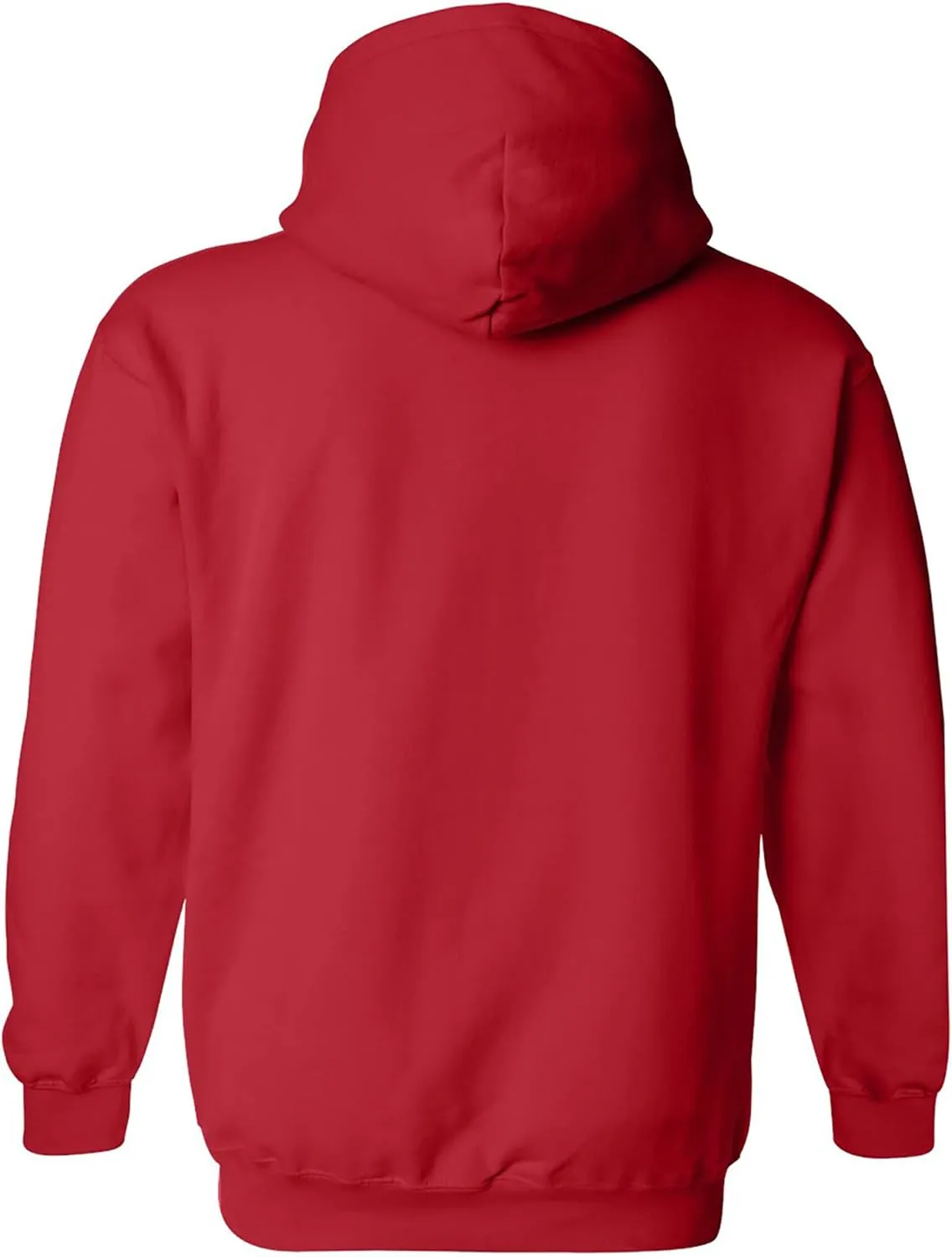 zerogravitee US Air Force Wings Adult Hooded Sweatshirt
